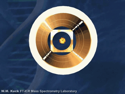6.gif