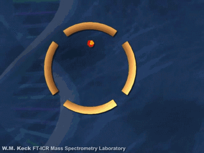 7.gif